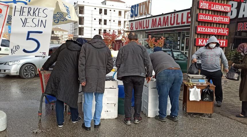 Düzce'de balıkçı kampanya yaptı! Hamsinin kilosu 5 TL'ye düştü