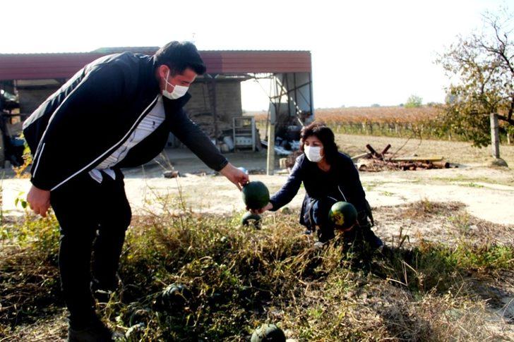 Kış ortasında karpuz yetiştirdiler G2