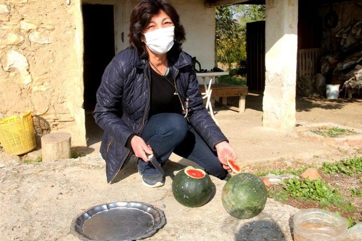 Kış ortasında karpuz yetiştirdiler G5