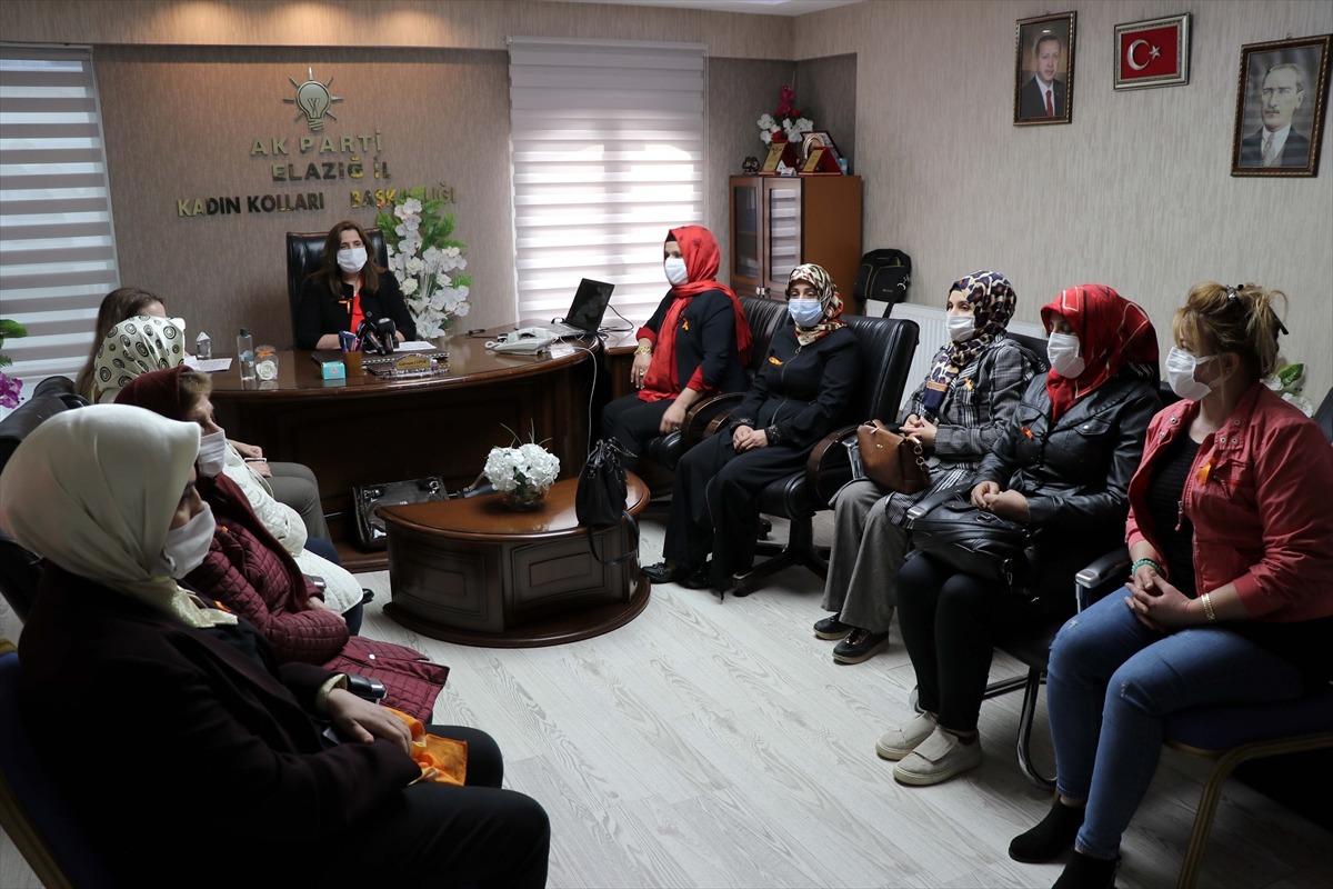 Kadına Y&ouml;nelik Şiddete Karşı Uluslararası M&uuml;cadele G&uuml;n&uuml;