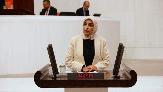 AK Parti Milletvekili Ban, NATO PA ekonomi ve güvenlik komisyonu Başkan Yardımcılığı görevine seçildi