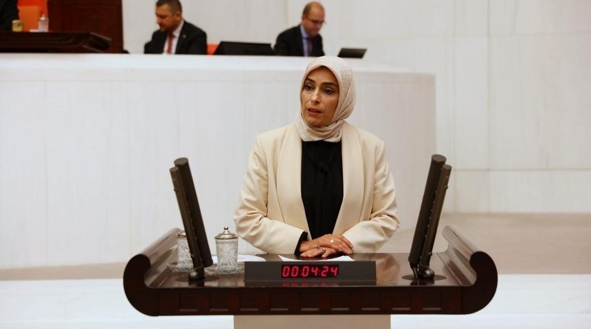 AK Parti Milletvekili Ban, NATO PA ekonomi ve g&uuml;venlik komisyonu Başkan Yardımcılığı g&ouml;revine se&ccedil;ildi