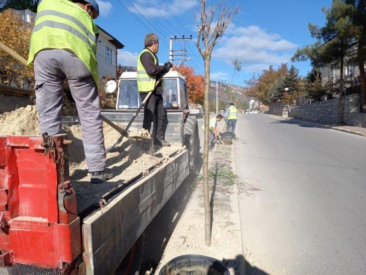 Safranbolu’da 153 adet akasya fidanı toprakla buluşturuldu. G2