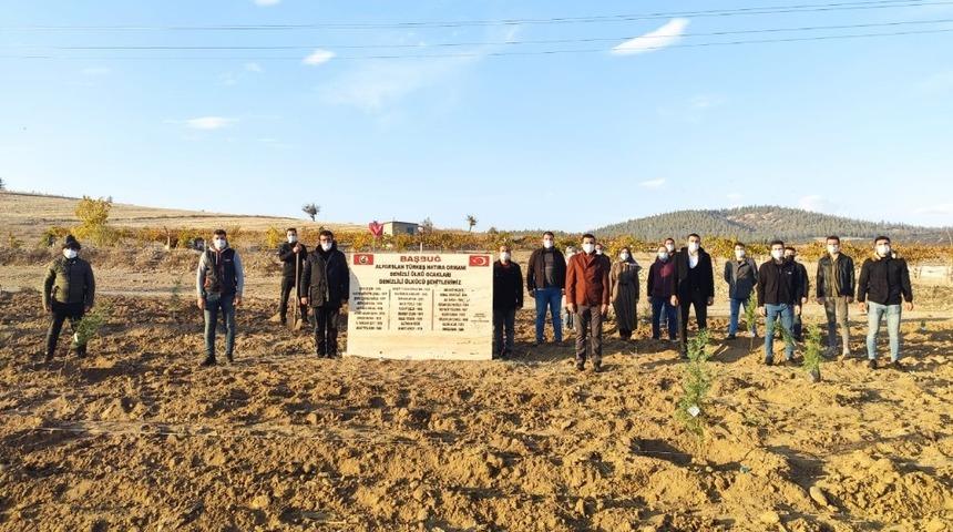 T&uuml;rkeş&rsquo;in doğumun g&uuml;n&uuml;nde 103 fidan toprakla buluştu