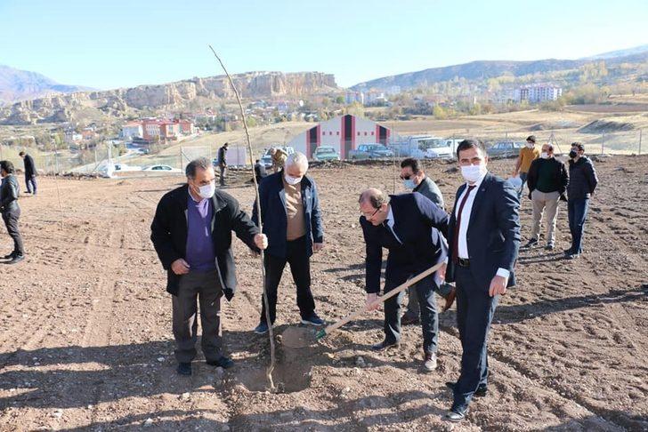 Doğu’nun ceviz bahçesi büyümeye devam ediyor G2