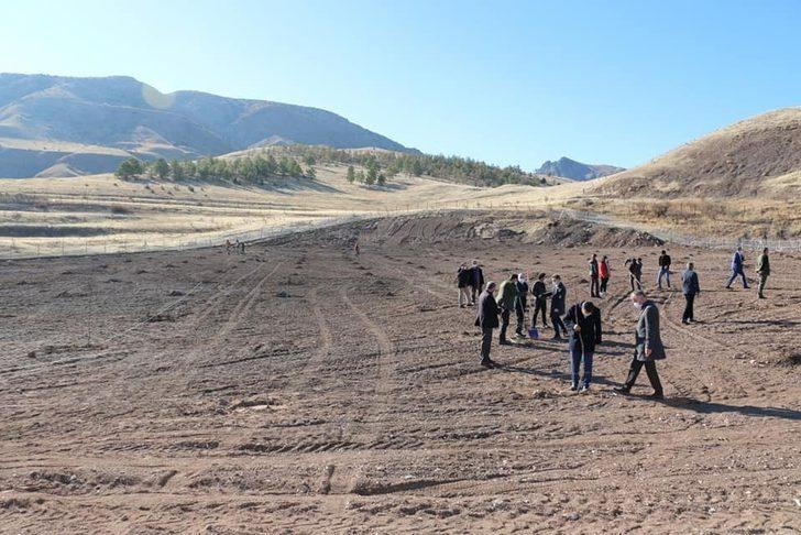 Doğu’nun ceviz bahçesi büyümeye devam ediyor G3