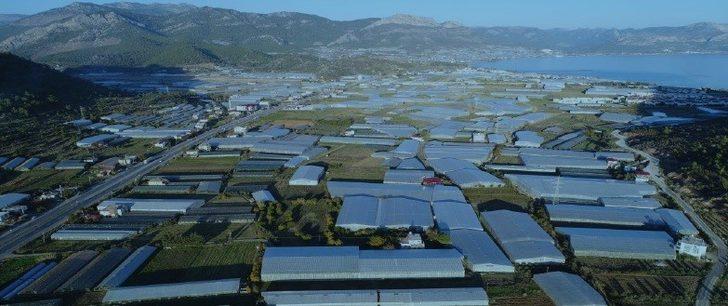 Mersin tarımının gayri safi yurtiçi hasılaya katkısı 14,3 milyar TL G2