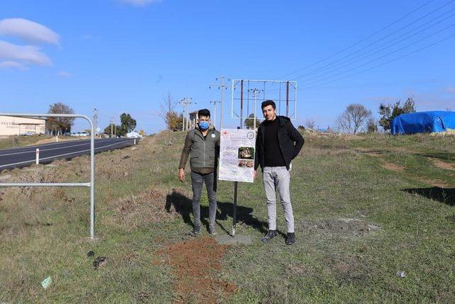 Trakya Tosbağasının yaşam alanları belirlendi