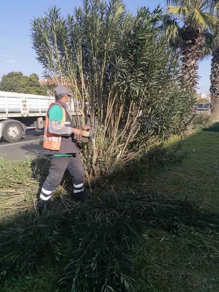 Umurlu’da yeşil alan temizlik çalışmaları devam ediyor G4