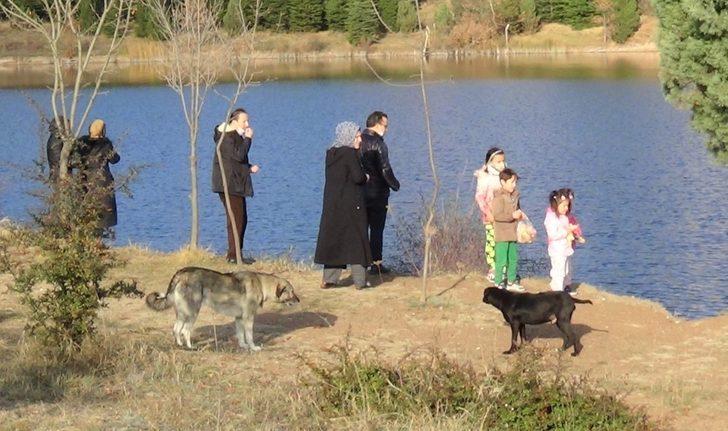 Kütahya’daki ’Saklıgöl’ havadan görüntülendi G5