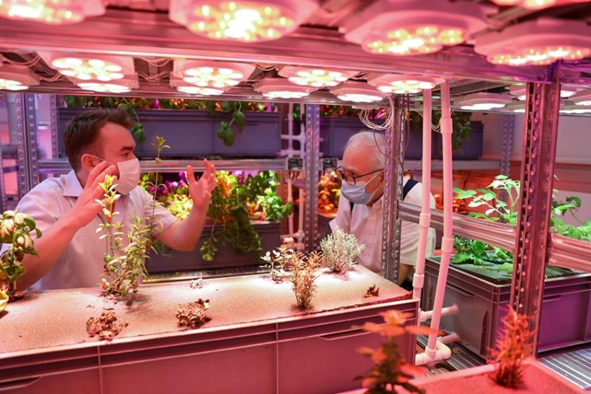 &lsquo;Akıllı bah&ccedil;e&rsquo; T&uuml;rkiye ikincisi