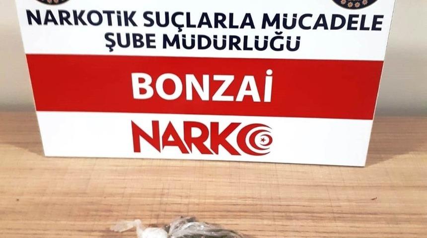 K&uuml;tahya&rsquo;da bir ş&uuml;phelinin &uuml;zerinde bonzai ele ge&ccedil;irildi