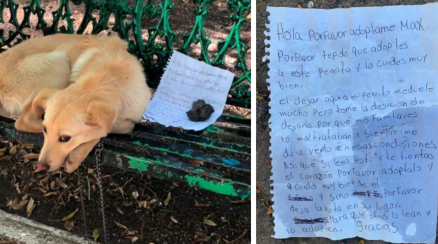 Köpeğini akrabalarının tecavüzünden kurtarmak için parka bıraktı	