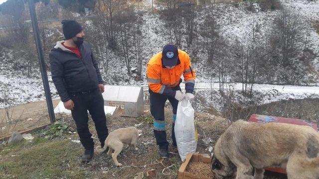 Trabzon’da sahipsiz canlar unutulmuyor