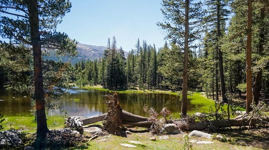 Yosemite Ulusal Parkı