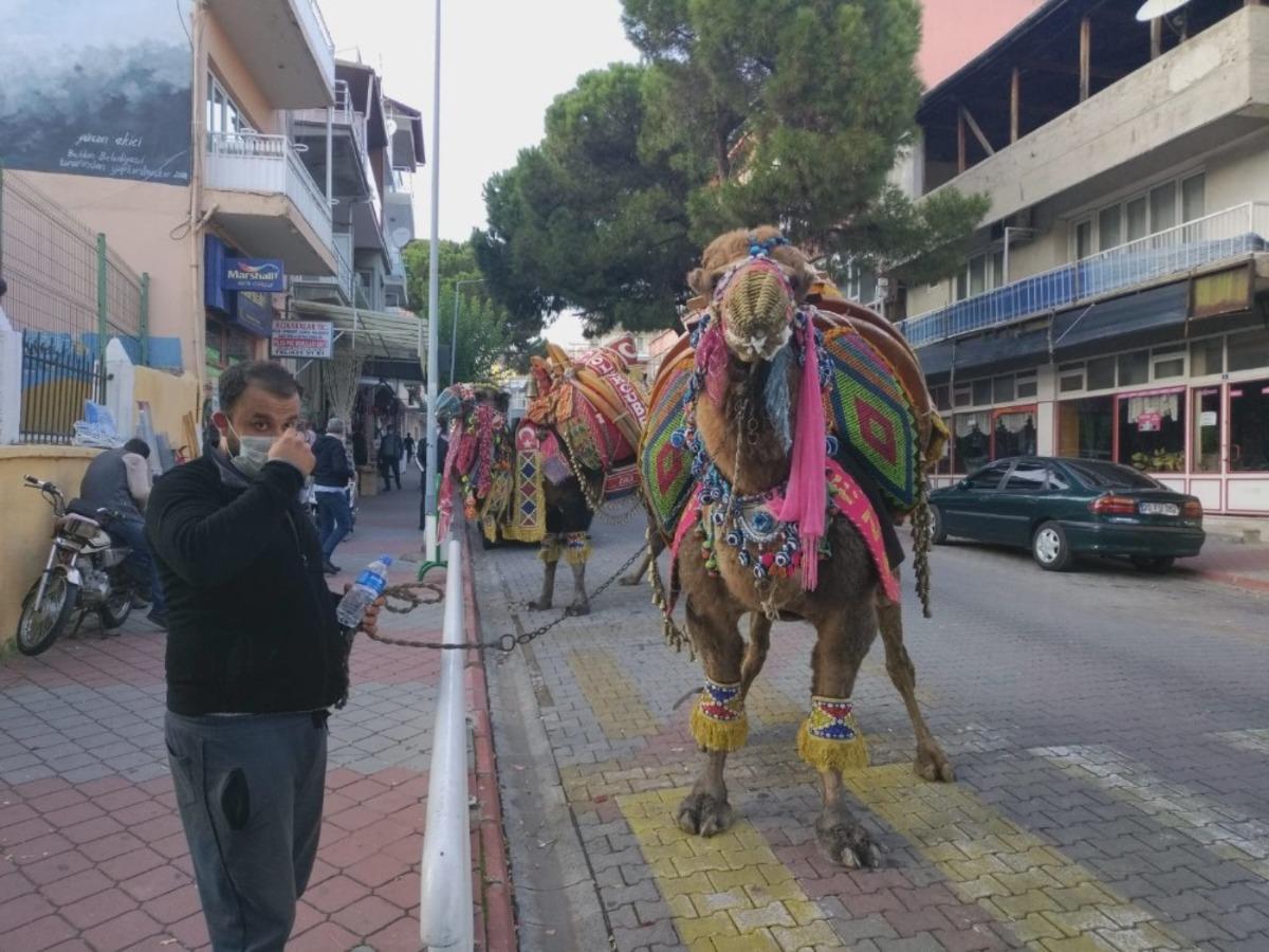 Kış aylarının gelmesiyle birlikte devler soğuktan korunmak i&ccedil;in havutlandı