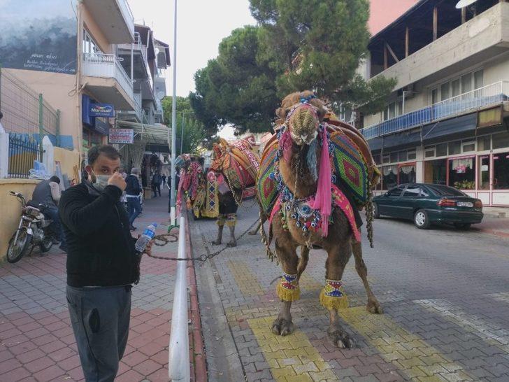 Kış aylarının gelmesiyle birlikte devler soğuktan korunmak için havutlandı G1