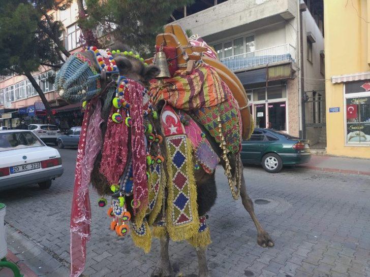 Kış aylarının gelmesiyle birlikte devler soğuktan korunmak için havutlandı G2