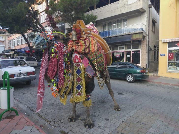 Kış aylarının gelmesiyle birlikte devler soğuktan korunmak için havutlandı G3