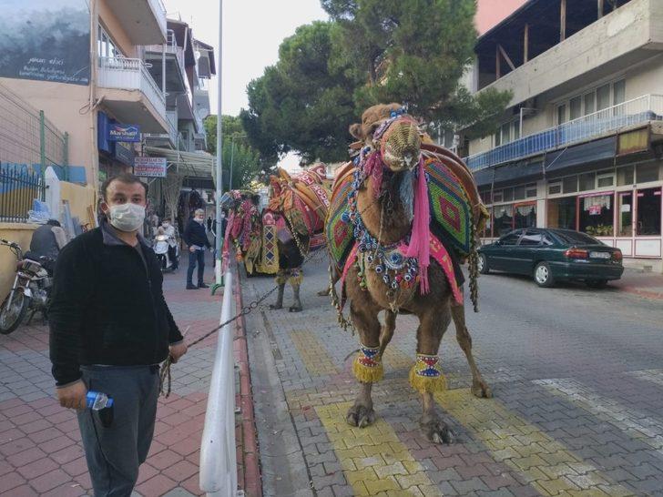 Kış aylarının gelmesiyle birlikte devler soğuktan korunmak için havutlandı G4