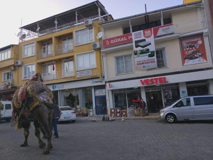Kış aylarının gelmesiyle birlikte devler soğuktan korunmak için havutlandı G5