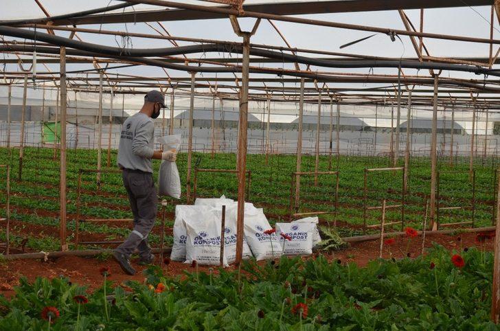 Kepez’de sera atıkları organik gübreye dönüştürülüyor G4