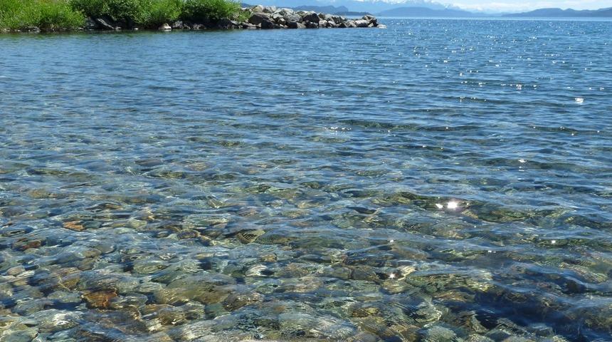 Nahuel Huapı Milli Parkı