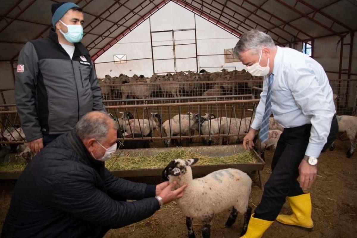 İl M&uuml;d&uuml;r&uuml; Şahin: "Hedefimiz Kayseri&rsquo;de Kaliteli ve Verimli Irk Sayısını Artırmak"