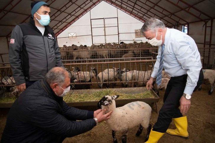 İl Müdürü Şahin: "Hedefimiz Kayseri’de Kaliteli ve Verimli Irk Sayısını Artırmak" G1