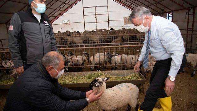 İl Müdürü Şahin: Hedefimiz Kayseri’de Kaliteli ve Verimli Irk Sayısını Artırmak