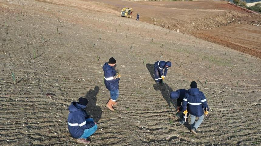 Kocaeli’de dolgu alanlarına 19 bin 360 fidan dikilecek