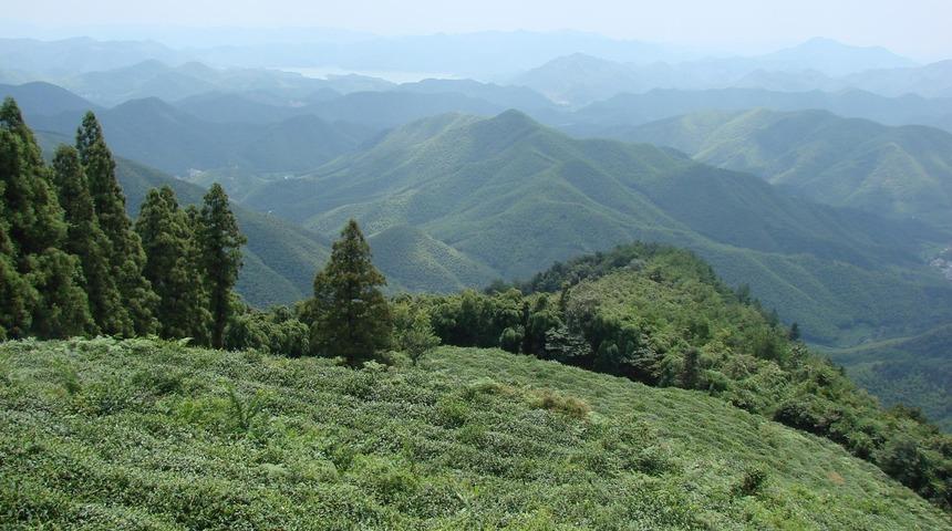 Moganshan