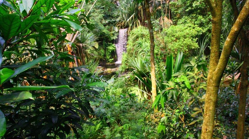 Masoala Ulusal Parkı