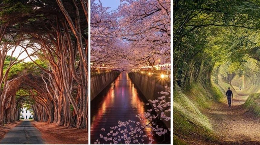 Mutlaka görmeniz gereken büyüleyici tüneller