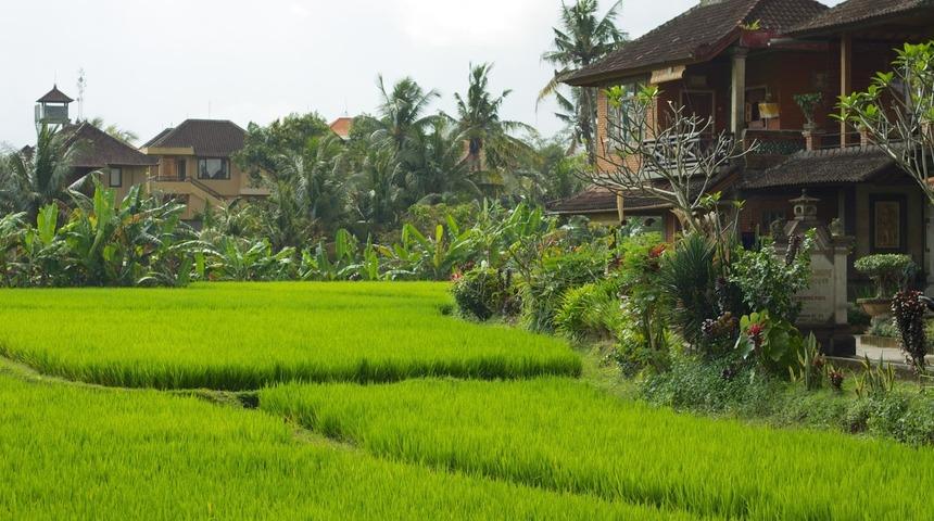 Ubud