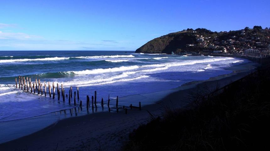 Dunedin