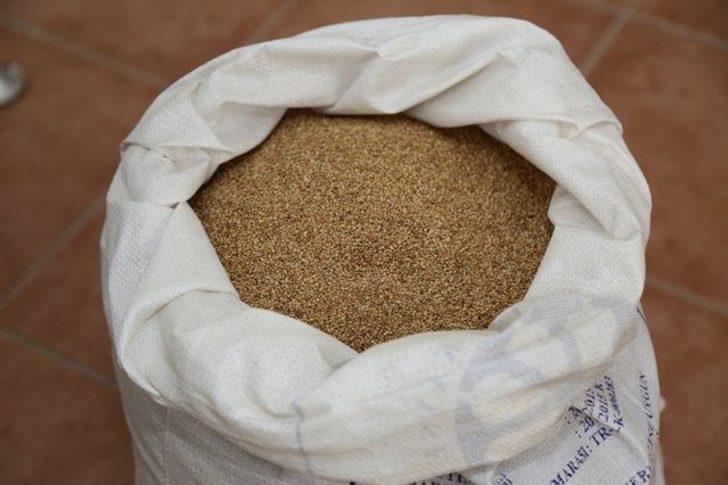 Patatesin başkentinde alternatif ürün: Kinoa G2