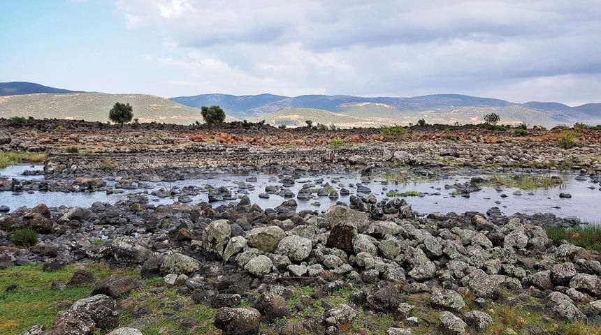 Suriye Sınırında Bir Vaha