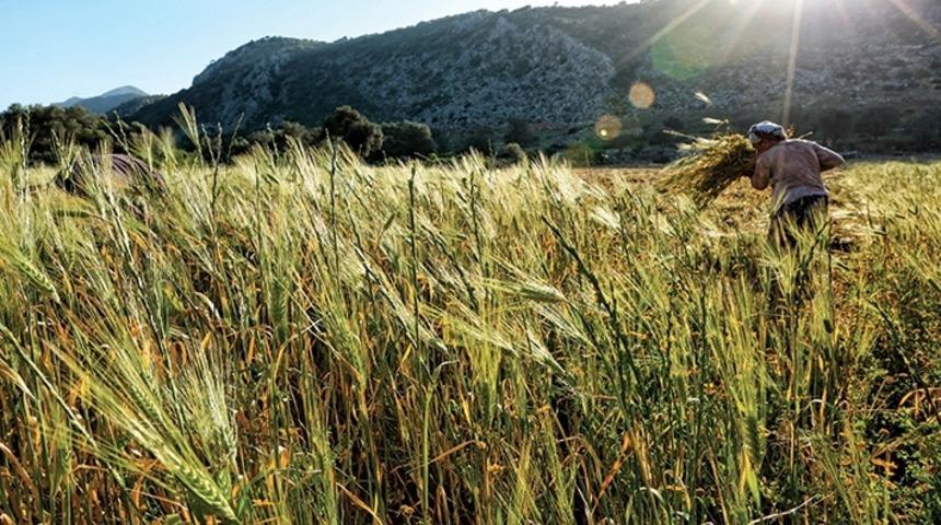 İnsan Yeni T&uuml;rler Yaratıyor