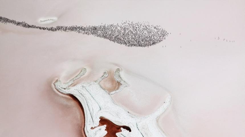 Tuz, G&ouml;l ve Flamingolar