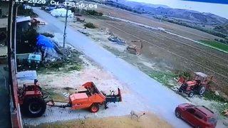 Sokak köpeğini öldürdü! Savunması 'pes' dedirtti