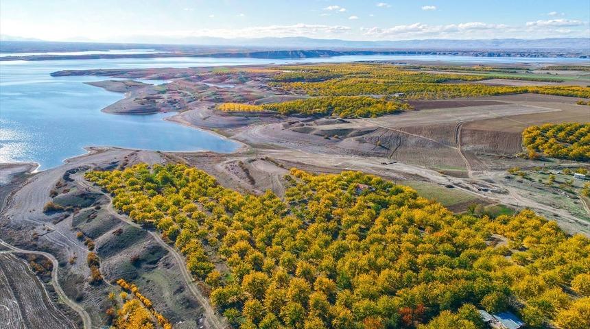 Kayısı bah&ccedil;elerinde renk c&uuml;mb&uuml;ş&uuml;