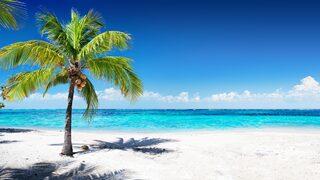 Yok olmadan buraları görün