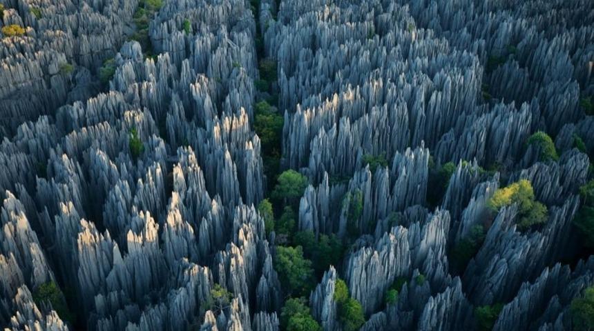 Daha önce hiç Taş Ormanı gördünüz mü? Bildiklerinizden çok farklı