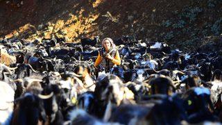 Karakeçili Yörüklerinin zorlu kış göçü