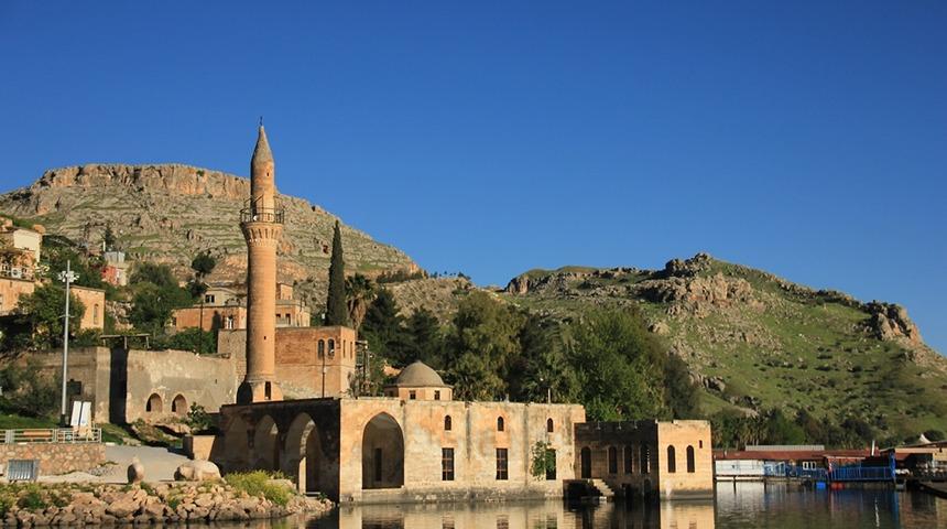 Batan bir şehrin kıyısında biten Karag&uuml;llerin şehri: Halfeti