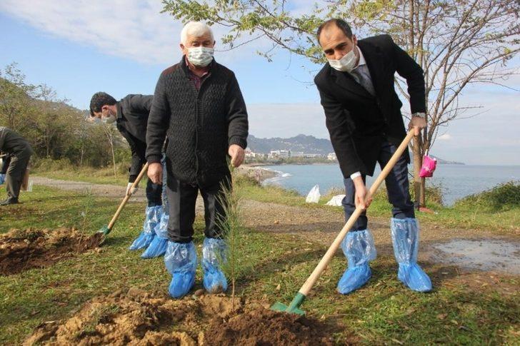 Giresunlu Ülkücüler, Alparslan Türkeş’in anısına fidan dikti G2