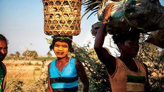 Sekizinci Kıta Madagaskar