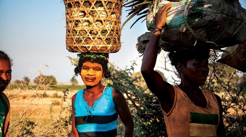 Sekizinci Kıta Madagaskar