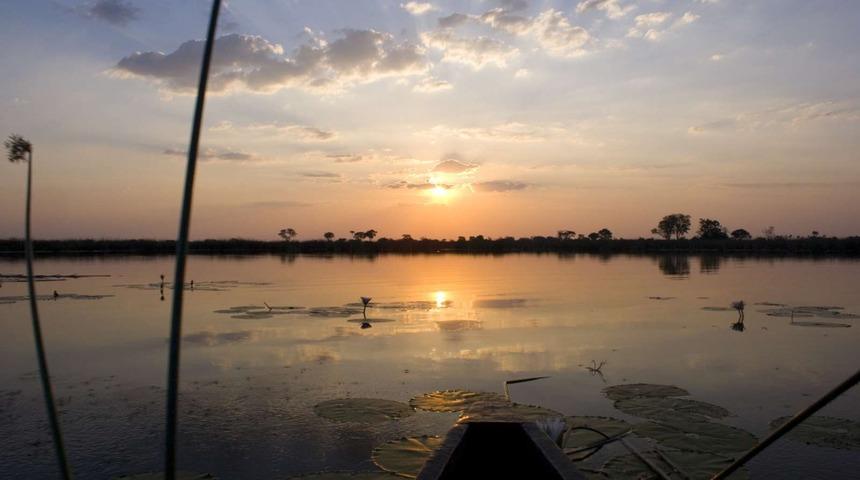 Okavango Deltası